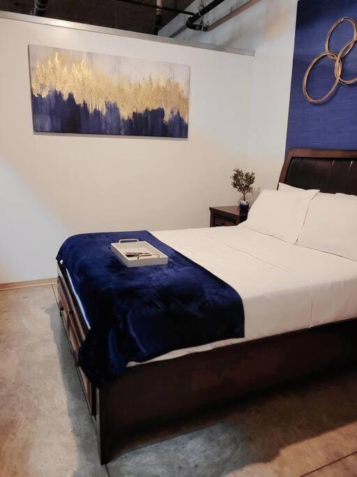 Staycation City Loft Free Gated Parking Saint Louis Exterior photo